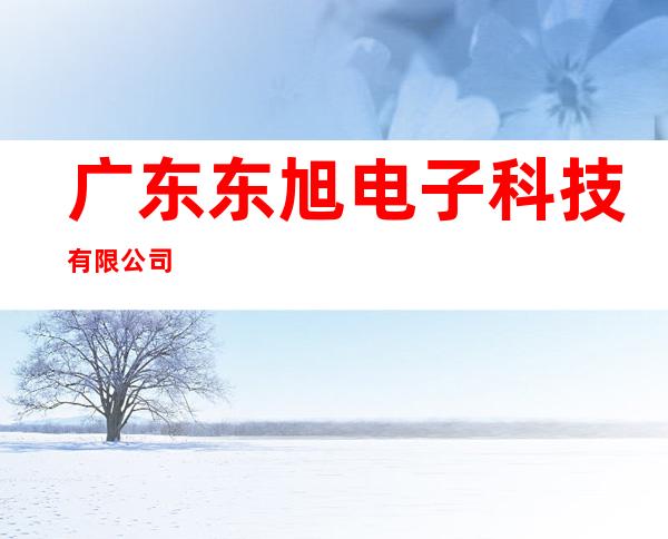 广东东旭电子科技有限公司